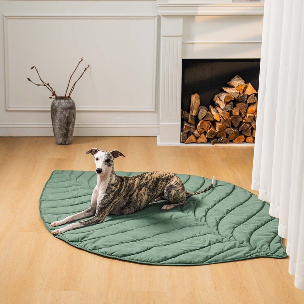 Calming Leaf Blanket