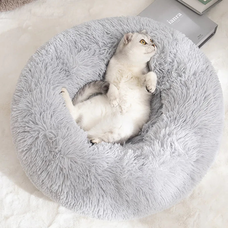 Donut Bed