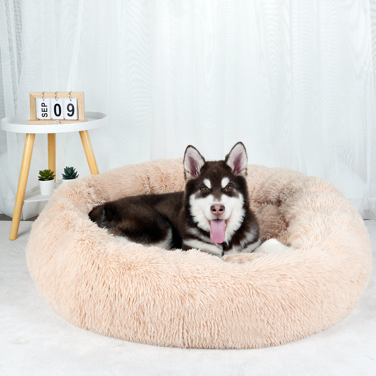 Cama de donuts