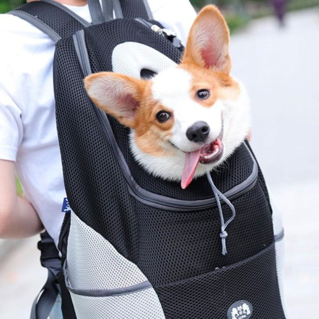 RoverPack™ - pet backpack