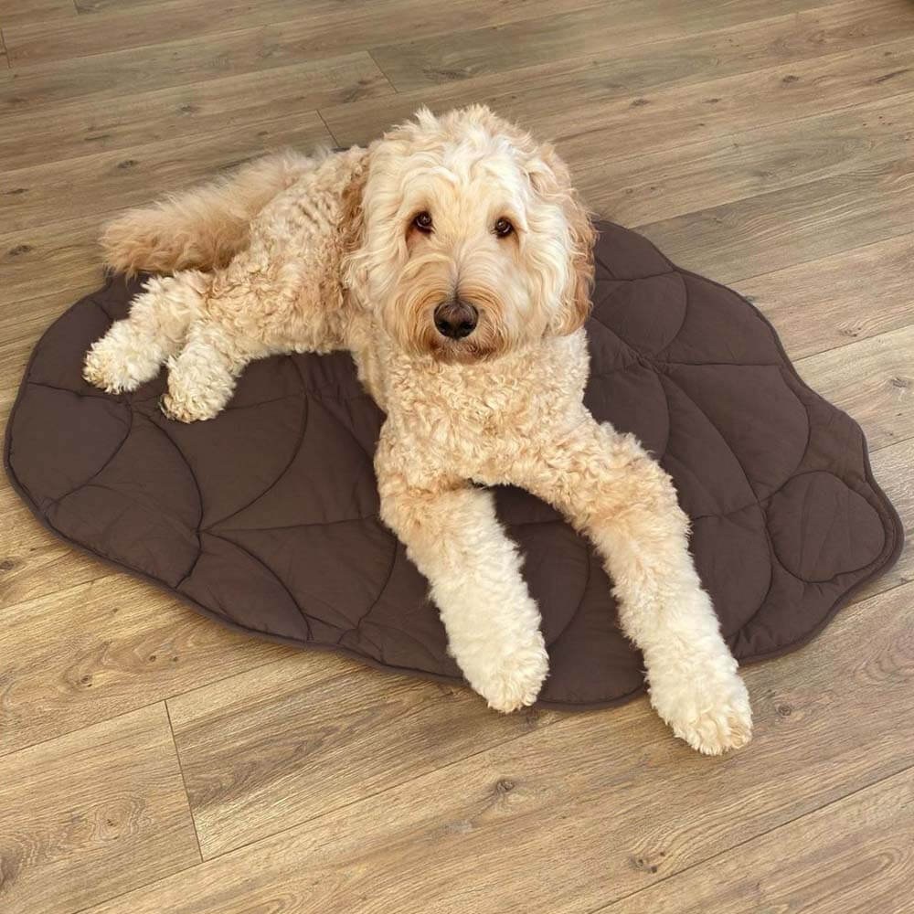 Calming Leaf Blanket